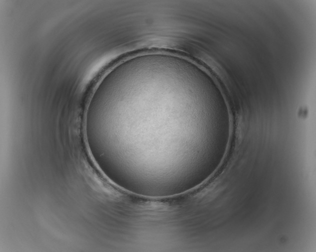 X0000112961115200909031015