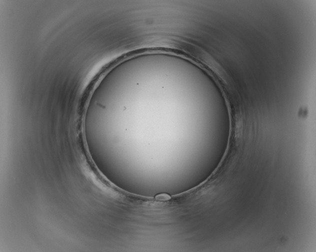 X0000112961116200909031015