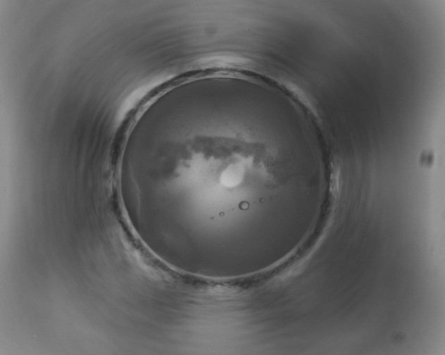 X0000112961117200909031015