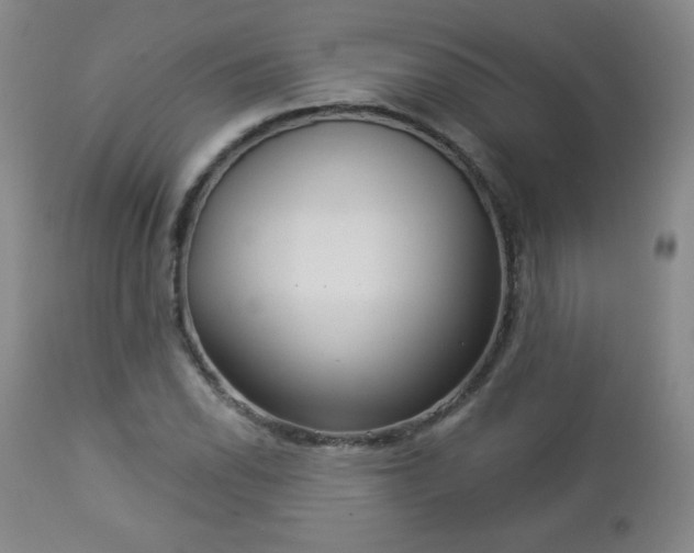 X0000112961118200909031015