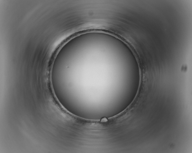 X0000112961119200909031015