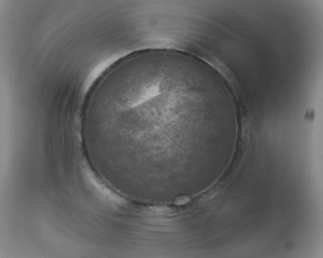 X0000112961120200909031015