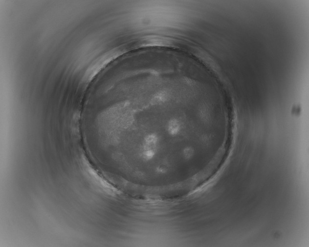 X0000112961121200909031015