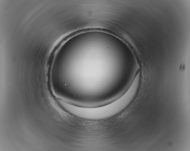 X0000112961124200909031015