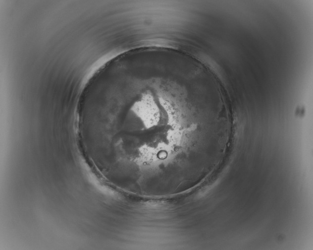 X0000112961125200909031015