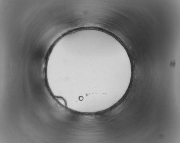 X0000112961126200909031015