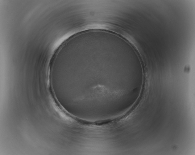 X0000112961127200909031015