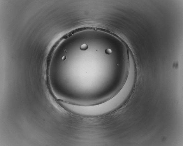 X0000112961128200909031015