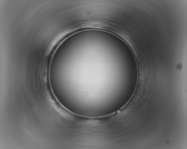 X0000112961131200909031015