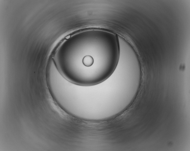 X0000112961132200909031015