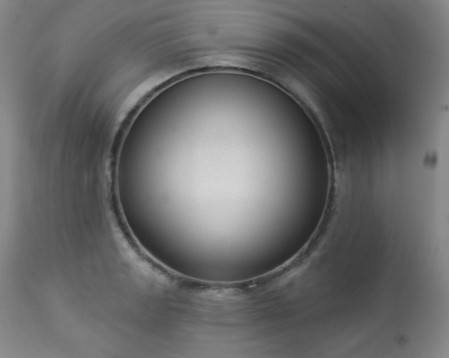 X0000112961133200909031015