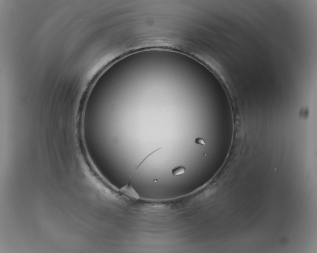 X0000112961135200909031015