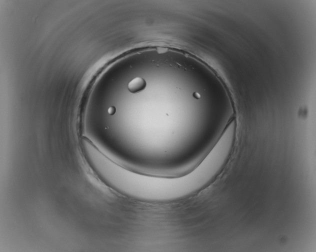 X0000112961136200909031015