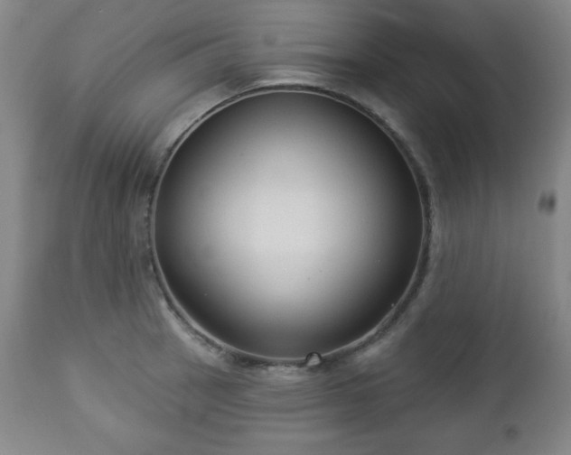 X0000112961137200909031015