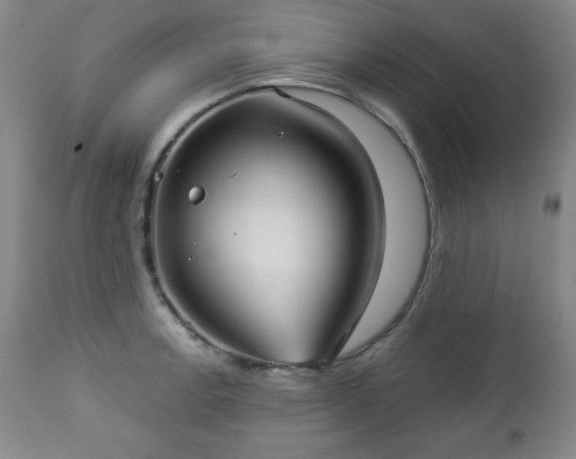 X0000112961138200909031015