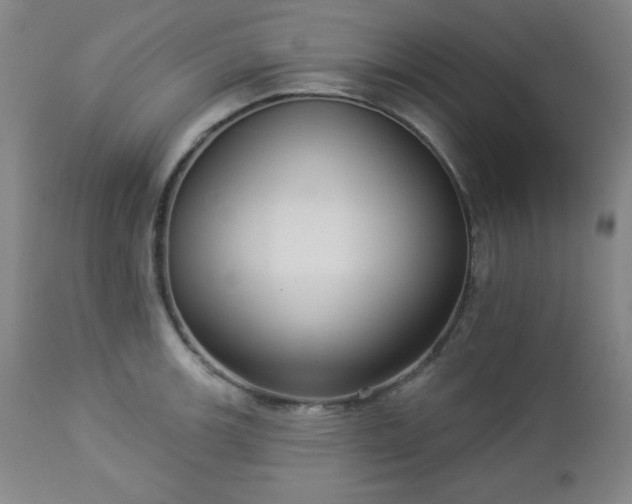 X0000112961139200909031015