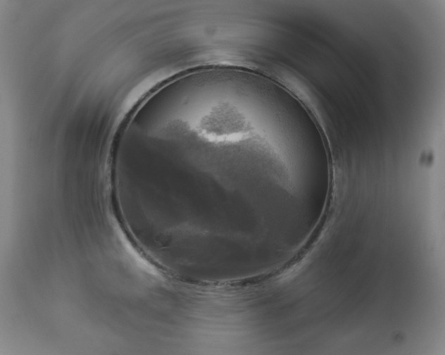 X0000112961141200909031015