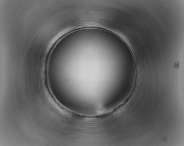 X0000112961142200909031015