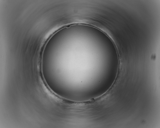 X0000112961143200909031015