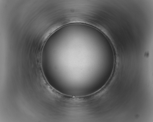 X0000112961145200909031015