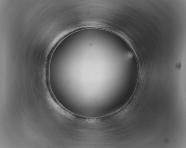 X0000112961147200909031015