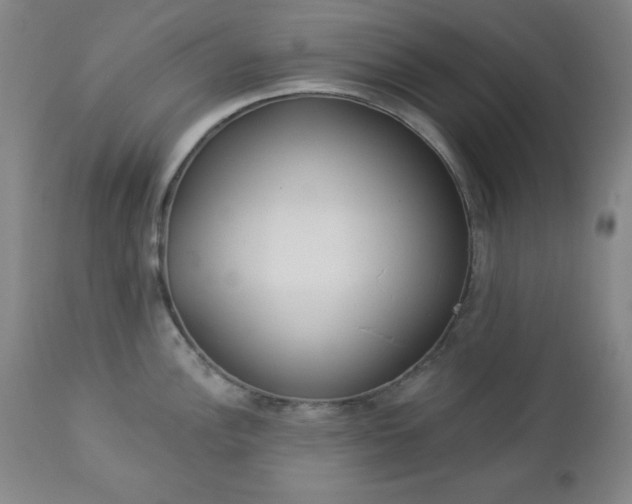 X0000112961148200909031015