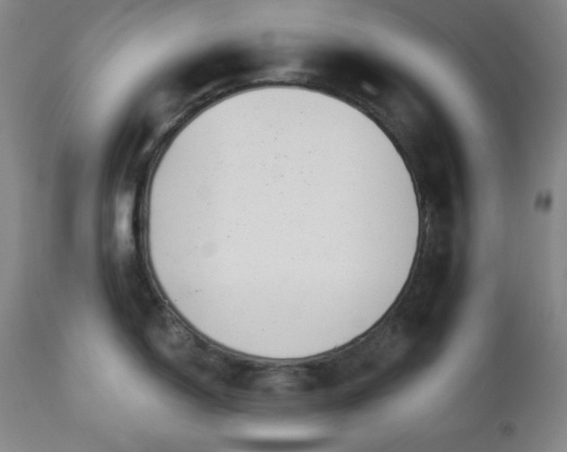 X0000112961150200909031015