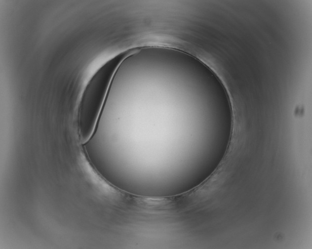 X0000112961152200909031015