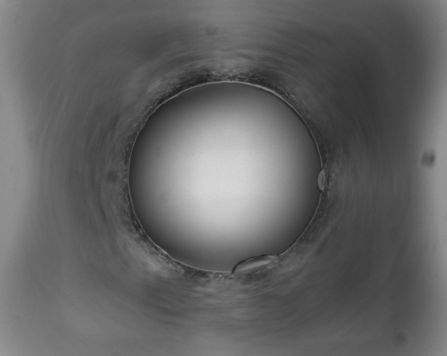 X0000112961153200909031015