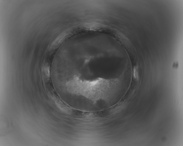 X0000112961155200909031015