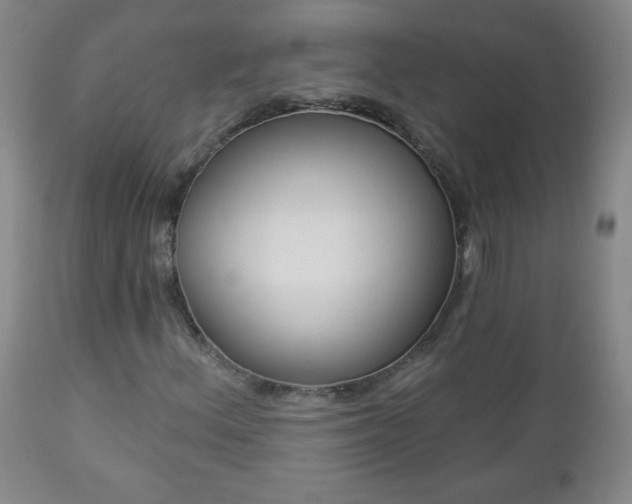 X0000112961156200909031015