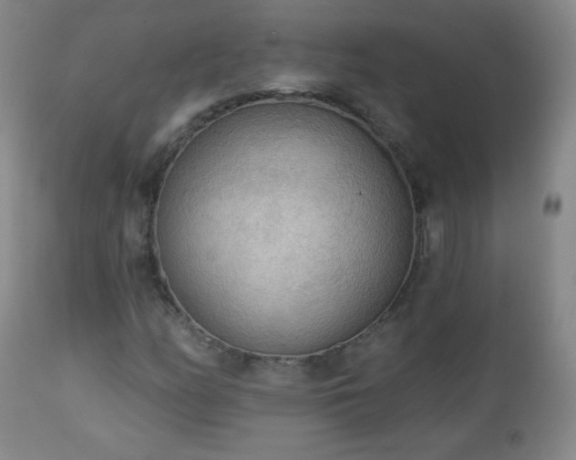 X0000112961158200909031015