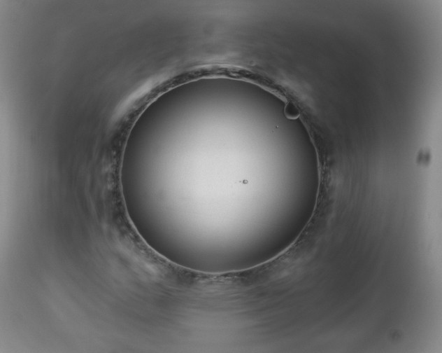 X0000112961159200909031015