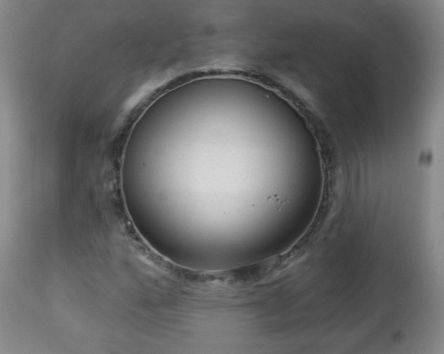 X0000112961160200909031015