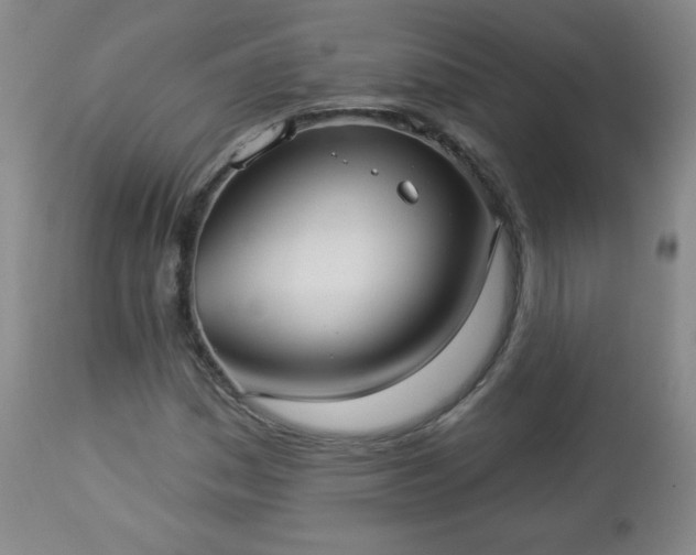 X0000112961161200909031015