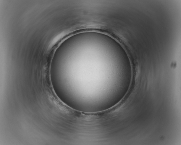 X0000112961163200909031015