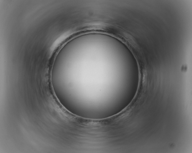 X0000112961164200909031015