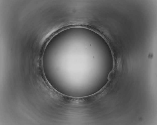 X0000112961165200909031015