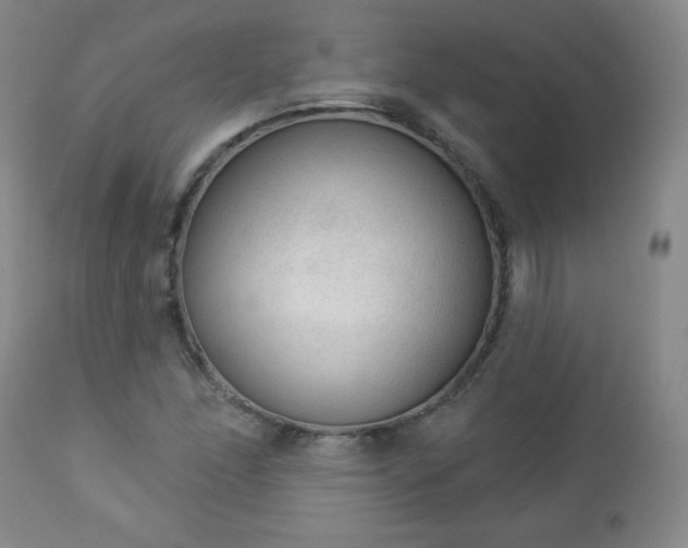 X0000112961166200909031015