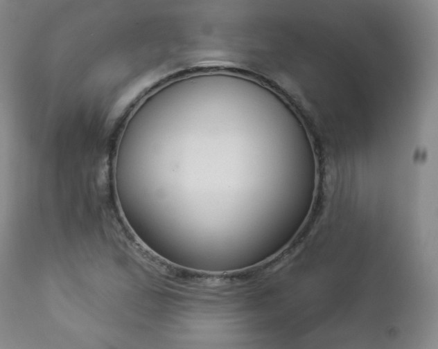 X0000112961167200909031015