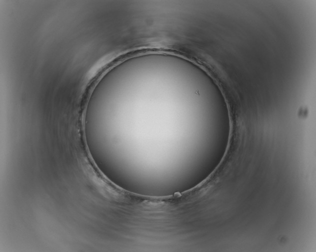 X0000112961168200909031015