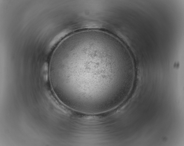 X0000112961171200909031015