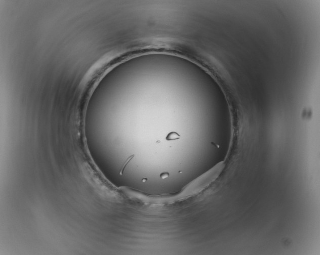 X0000112961172200909031015