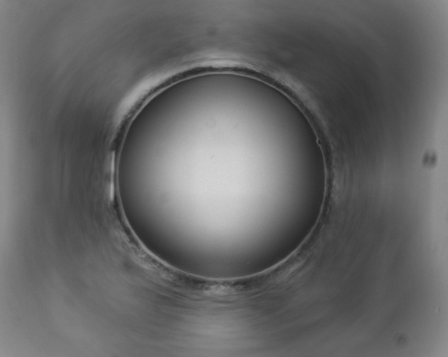 X0000112961175200909031014