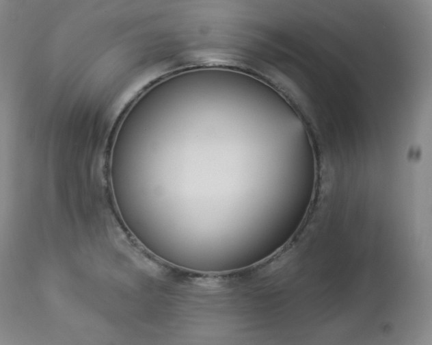 X0000112961182200909031014