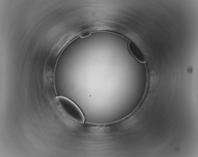 X0000112961185200909031014