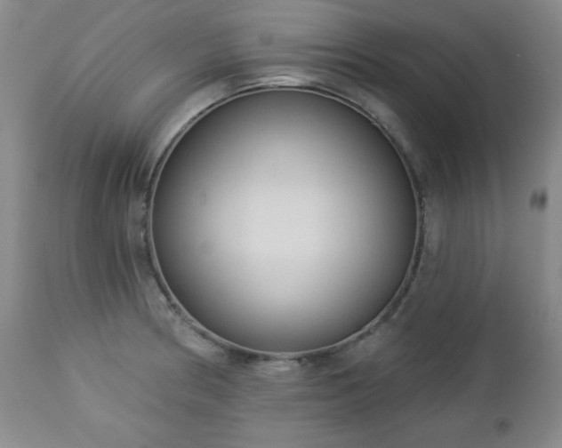 X0000112961186200909031014