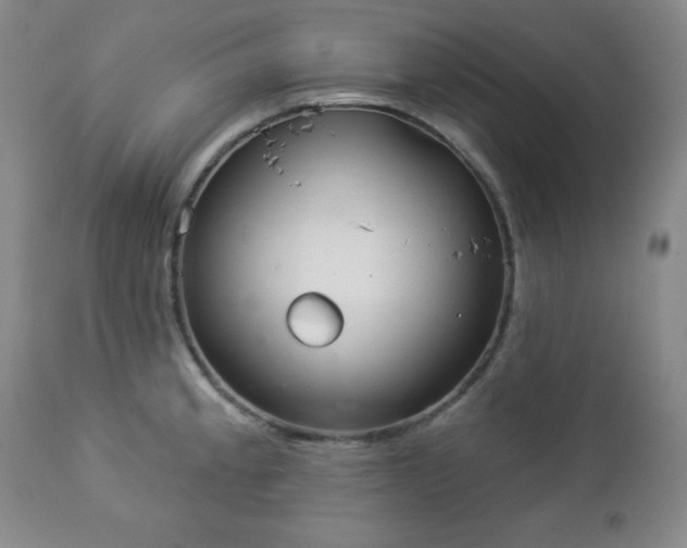 X0000112961189200909031014