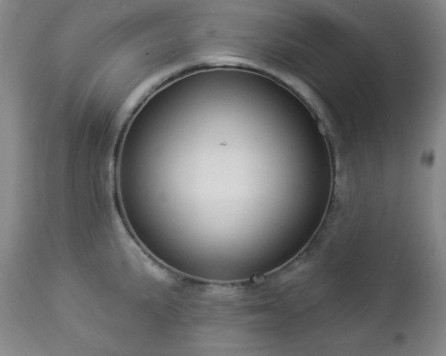 X0000112961191200909031014