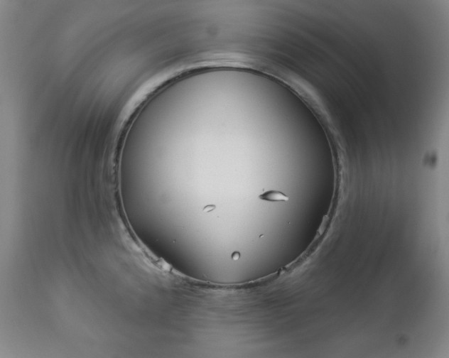 X0000112961192200909031014